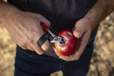 FELCO 330 - Obstschere - Apfel - Ernte